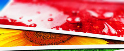 CANON Genuine prints